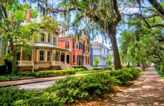 Savannah
